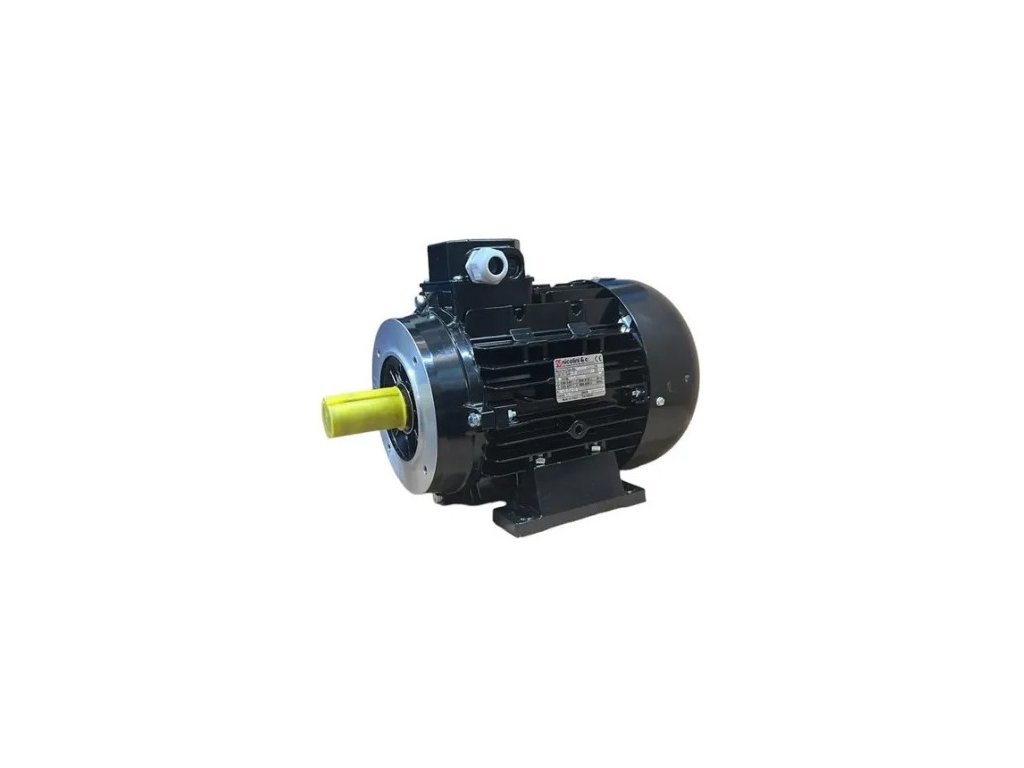 ELECTRIC MOTOR TYPE B3/B14 - 3 PHASE NICOLINI