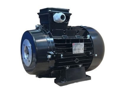 ELEKTROMOTOR DF SERIES - 3 FÁZY - NICOLINI