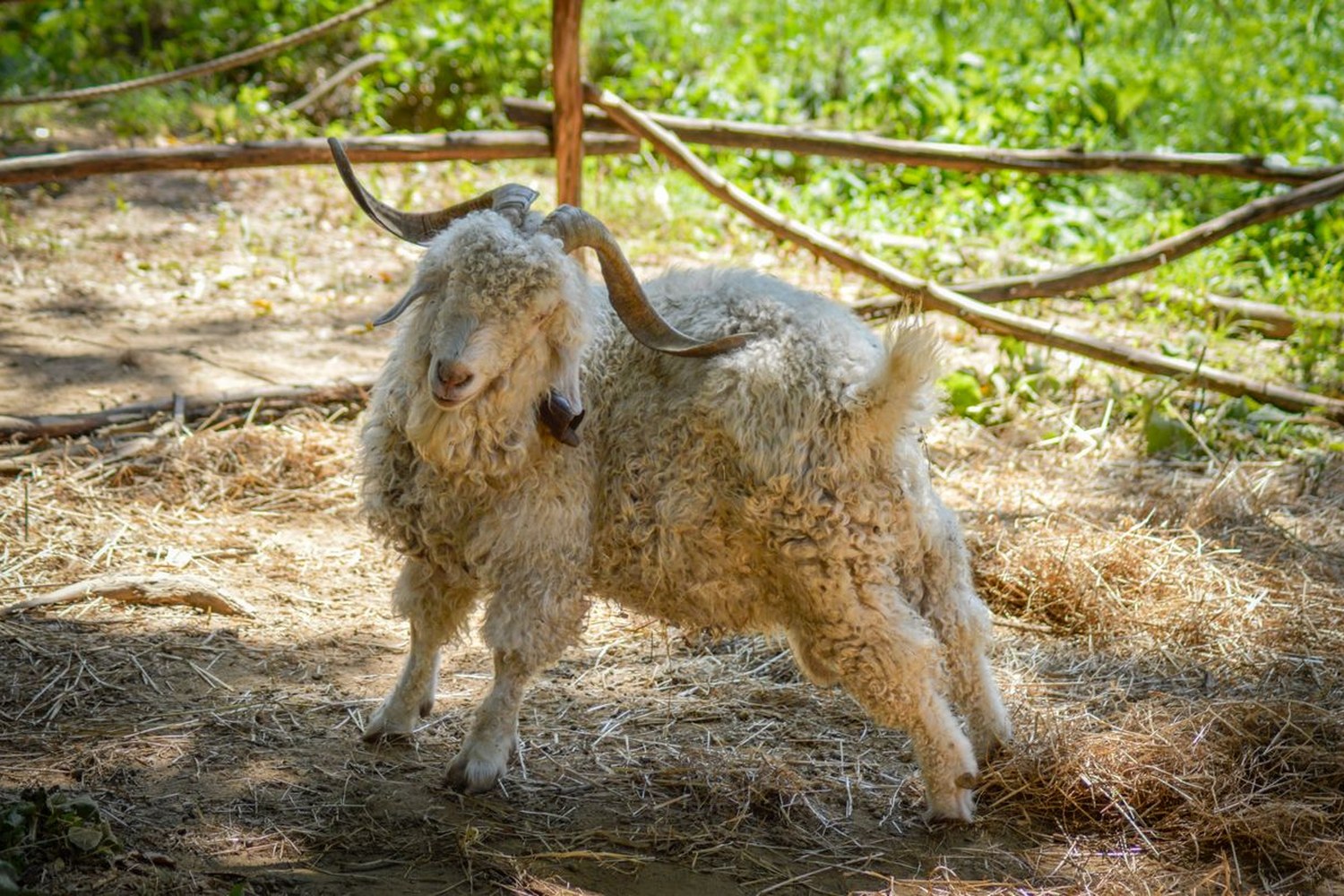Potah matrace Cashmere: kašmír pro jemnost a termoregulaci