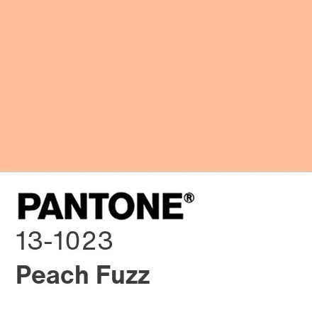 barva-roku-2024-peach-fuzz-paleta-hex-kod