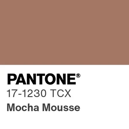 barva-roku-2025-mocha-mousse-pantone