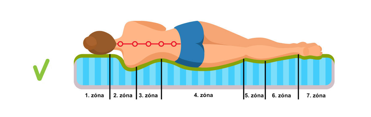 Schéma 7 anatomických zón matrace – správná opora páteře při spánku