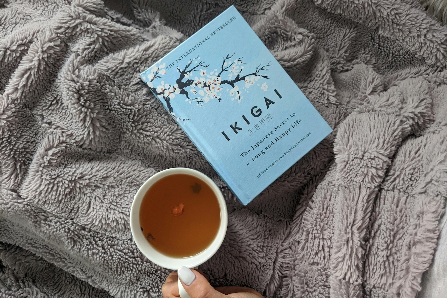 longevity-v-praxi-jak-zit-dele-zdraveji-a-s-vetsi-lehkosti-ikigai