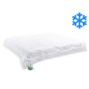 Francouzská přikrývka Aloe Vera zimní 200x200cm 1800g