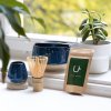 Matcha set s modrou keramikou