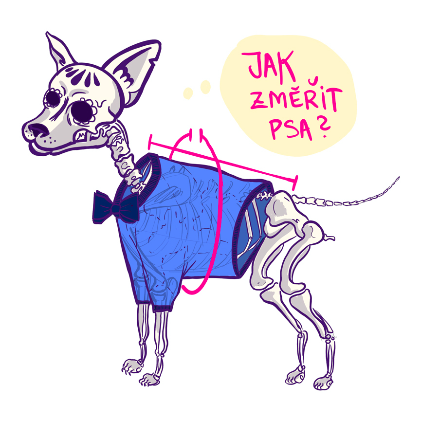 jak_zmerit_psa_image