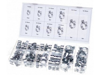 Schlauchschellen mit Schraube 73 Stück