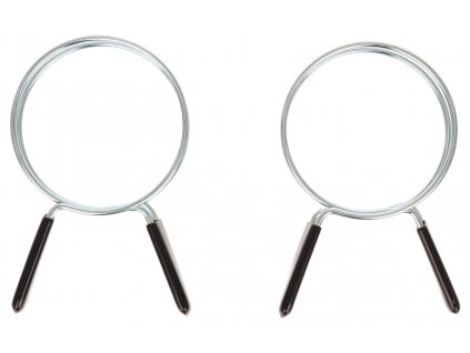 Schnellverschluss-Schlauchschelle 100 mm 2 Stück