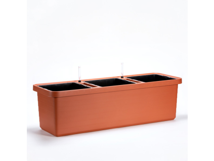 Großvolumige Berberis TRIO Box 117 cm - Terrakotta
