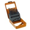 HSS-Bohrer 19-teiliges Set