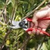 FELCO 933-1 Geschenkset für Floristen und Gartenliebhaber