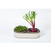 Large Farm Microgreens+Regrow - Elfenbein mit Kaffeesatz