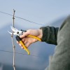 Einhand-Gartenschere ALPEN Gelbhorn 150