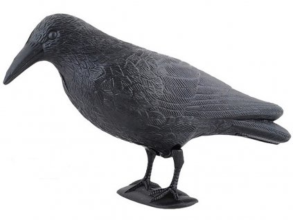 Havran maketa na plašení špačků a holubů