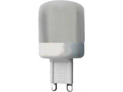 LED kapsule teplá bílá 2,5 W G9