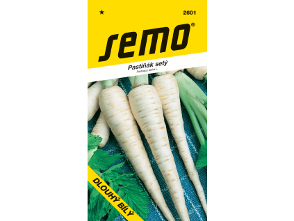 Pastinák setý Dlouhý bílý