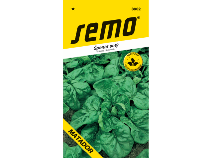 Špenát setý Matador