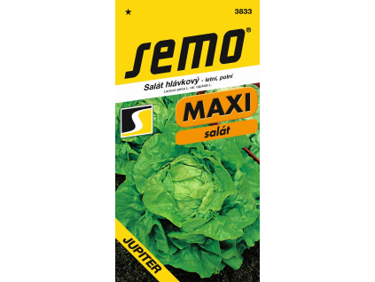 Salát hlávkový Jupiter