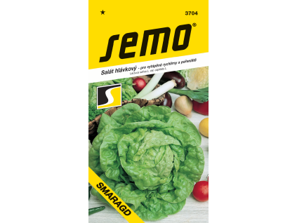 Salát hlávkový Smaragd