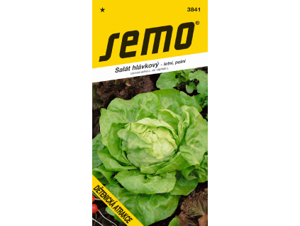 Salát hlávkový Dětenická atrakce