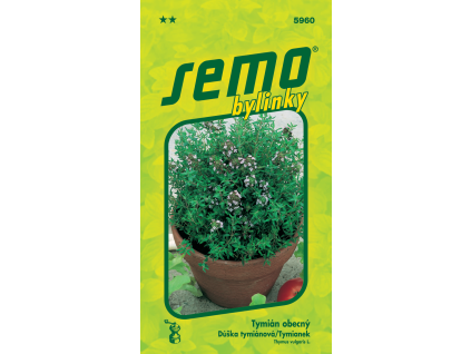 Tymián obecný