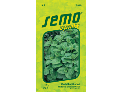 Meduňka lékařská