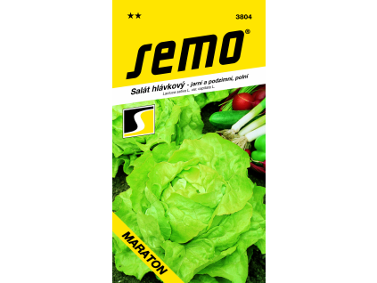 Salát hlávkový Maraton