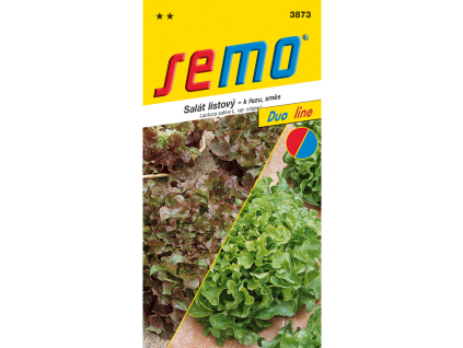 Salát listový směs typu Bowl