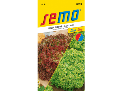 Salát listový směs typu Lolo