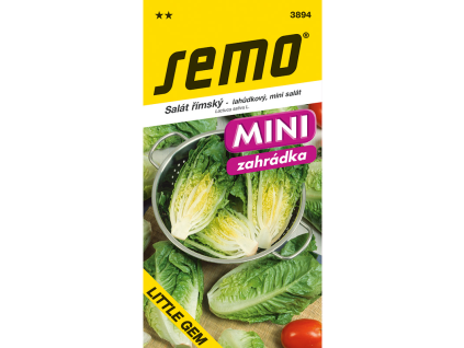 Salát římský Little Gem