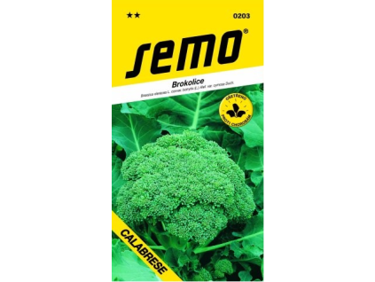 Brokolice Ramoso Calabrese