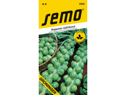 Kapusta růžičková Groninger