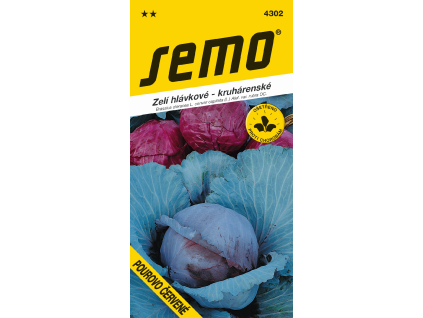 Zelí hlávkové Pourovo červené