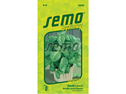 Bazalka pravá Lettuce Leaf