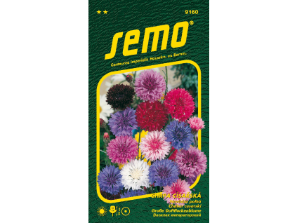 Chrpa císařská směs barev