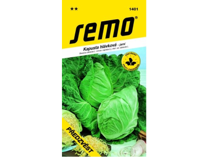 Kapusta hlávková Předzvěst