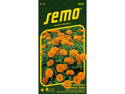 Měsíček lékařský oranžový