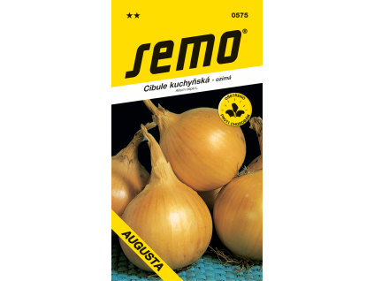Cibule kuchyňská Augusta