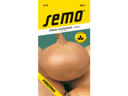 Cibule kuchyňská Hiberna