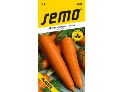Mrkev obecná Rubína