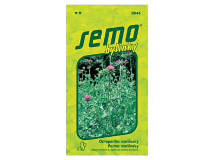 Ostropestřec mariánský