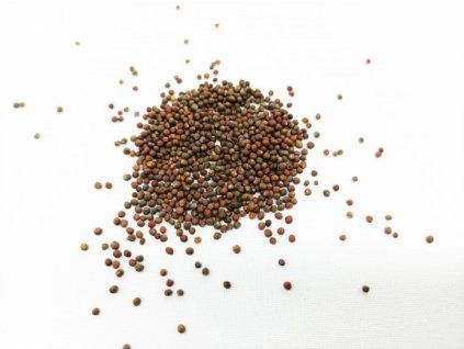 Startovací sada Microgreens