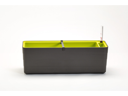 Truhlík Berberis 60 cm - šedá zelená