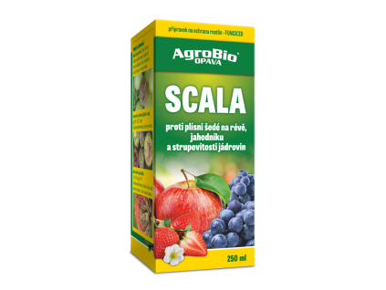 Scala - 250 ml