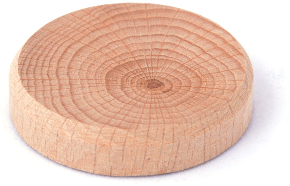 Pinie Bukové suky (větev) 40 × 7 mm, 1 kg 113-40001