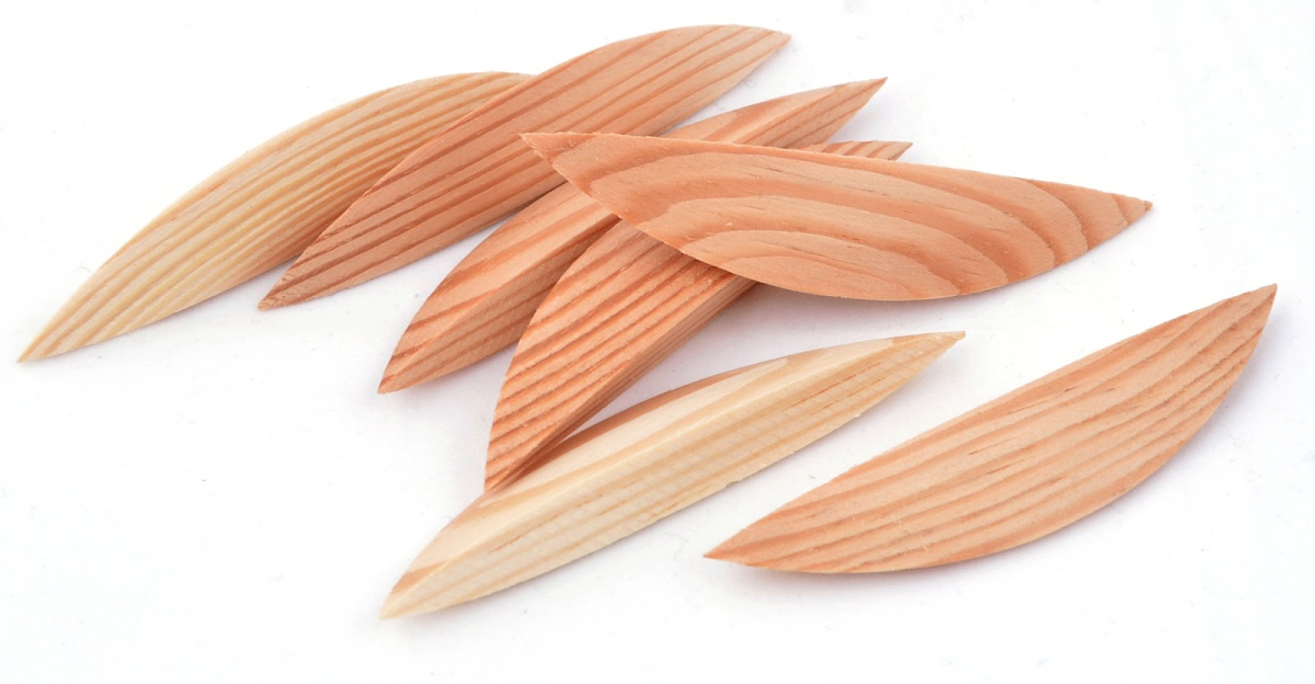 Pinie Lodičky borovice, 500 ks 130-2500