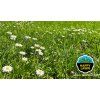 Barenbrug travní směs Happy Lawn 500 g