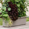 Velkoobjemový truhlík Berberis TRIO 117 cm - taupe