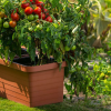 Velkoobjemový truhlík Berberis TRIO 117 cm - terakota