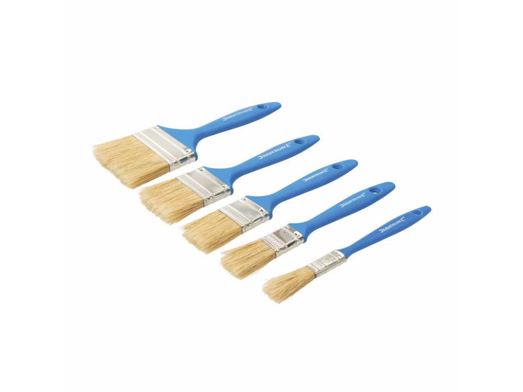 Set mit 5 flachen Einwegbürsten Silverline